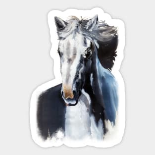 Horse Ghost from the Dark Sticker